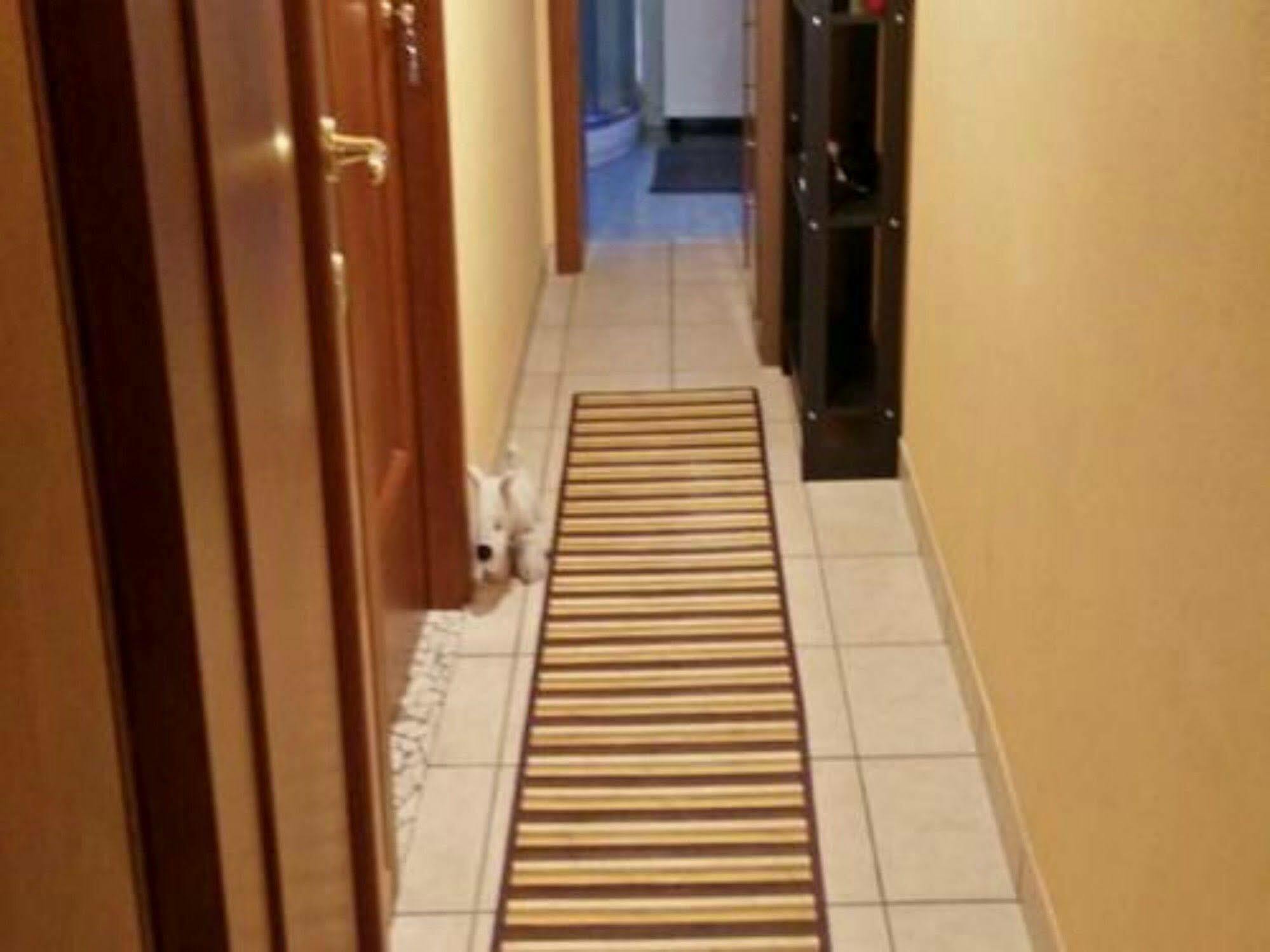 Stazione Centrale Bed & Breakfast Bologna Bagian luar foto